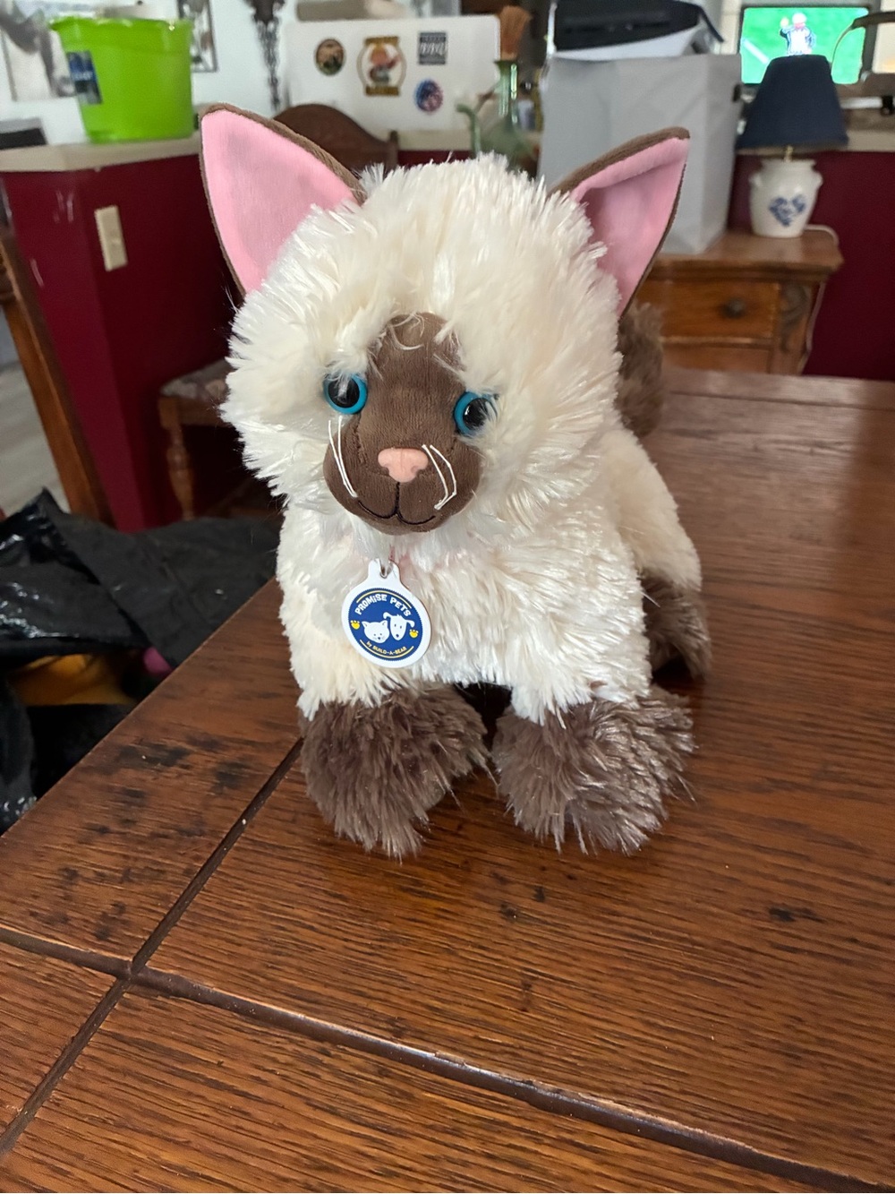Build-A-Bear Siamese Plush Cat - Cream, Brown, Pink
